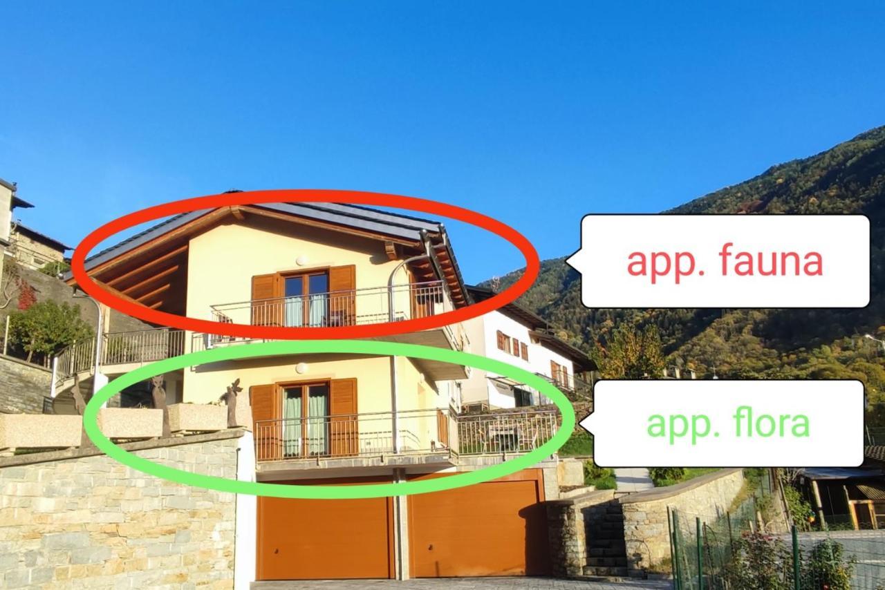 Pisolo Selvaggio Apartment Tirano Exterior foto
