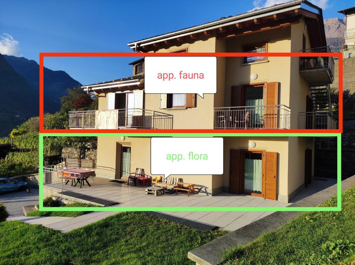 Pisolo Selvaggio Apartment Tirano Exterior foto